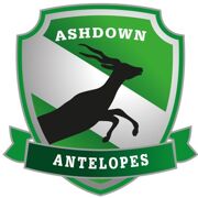 Ashdown Antelopes